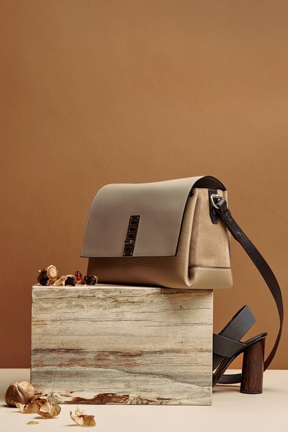 Classic Purse bag